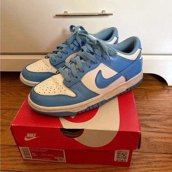 Kids Blue and White Nike Dunks